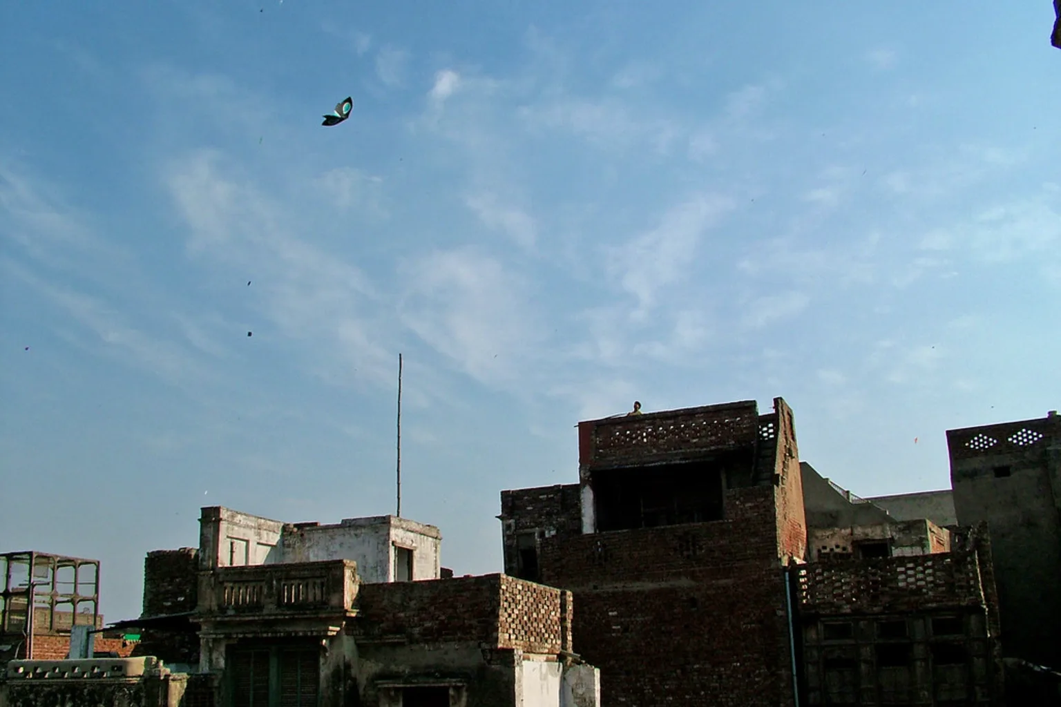 Kites specked across the sky above the brick rooftops of Lahore's old city